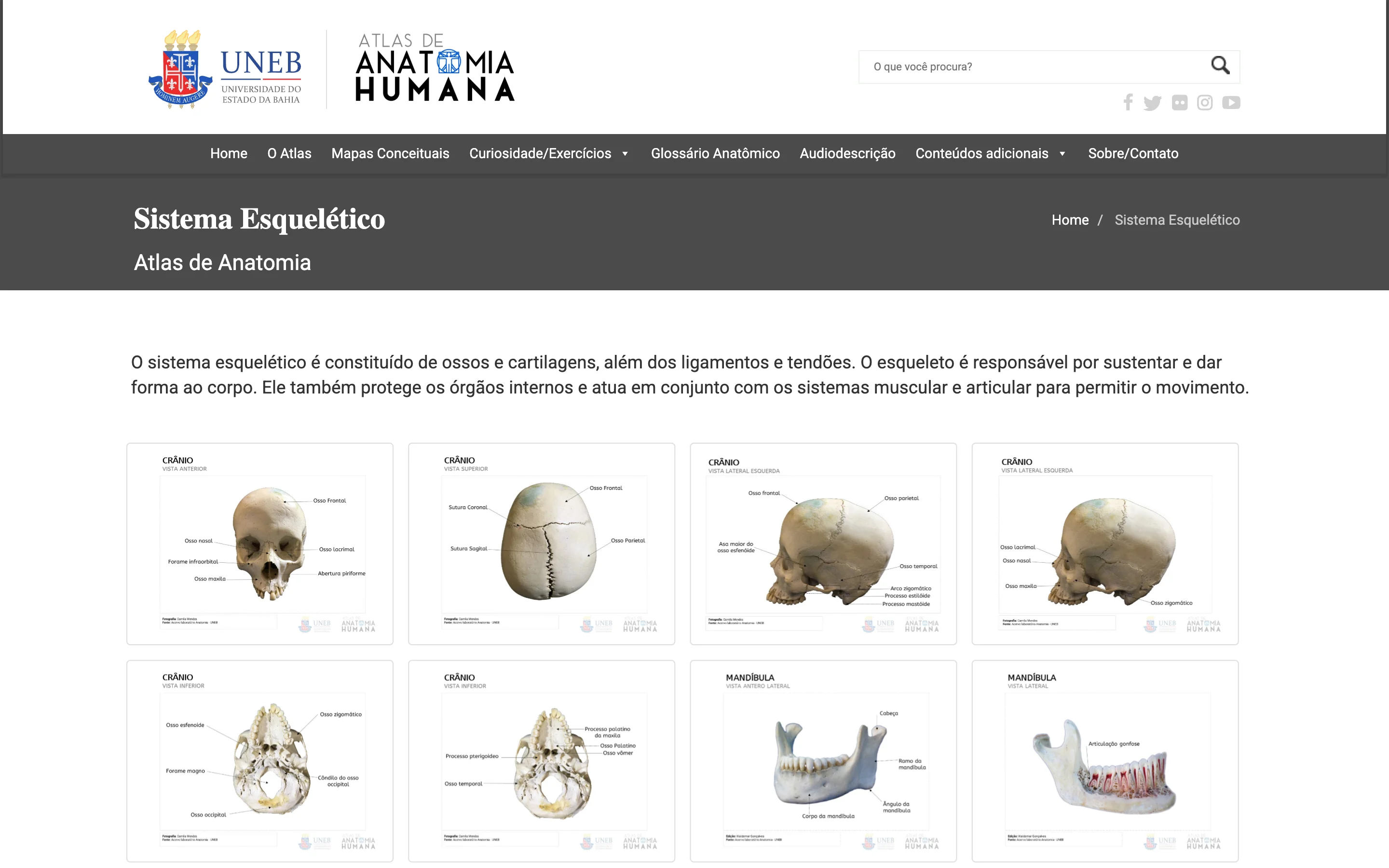 Página do Sistema Esquelético no site do Atlas de Anatomia Humana da Universidade do Estado da Bahia: grade de fotos de crânio e mandíbula com legendas das estruturas.